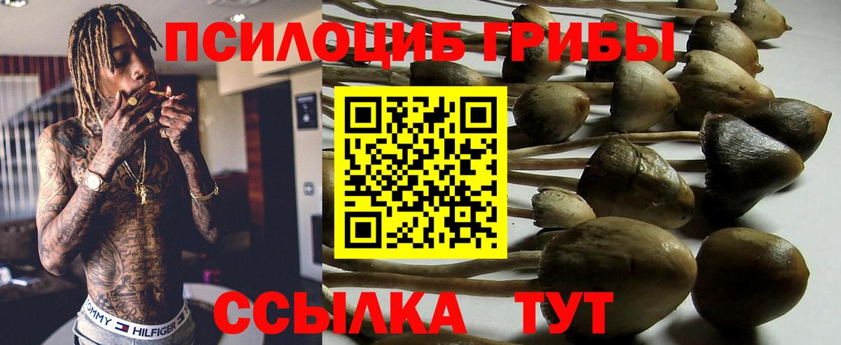 Галлюциногенные грибы ЛСД Фрязино