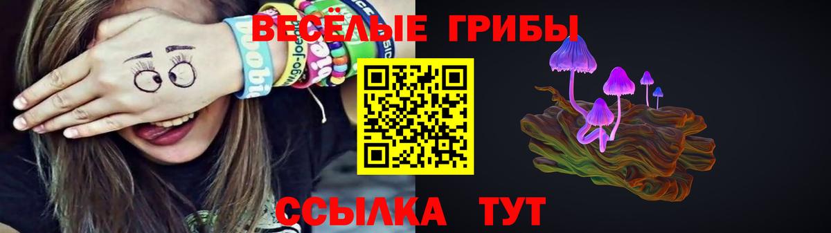 Фрязино  Псилоцибиновые грибы Cubensis  Вход с VPN 